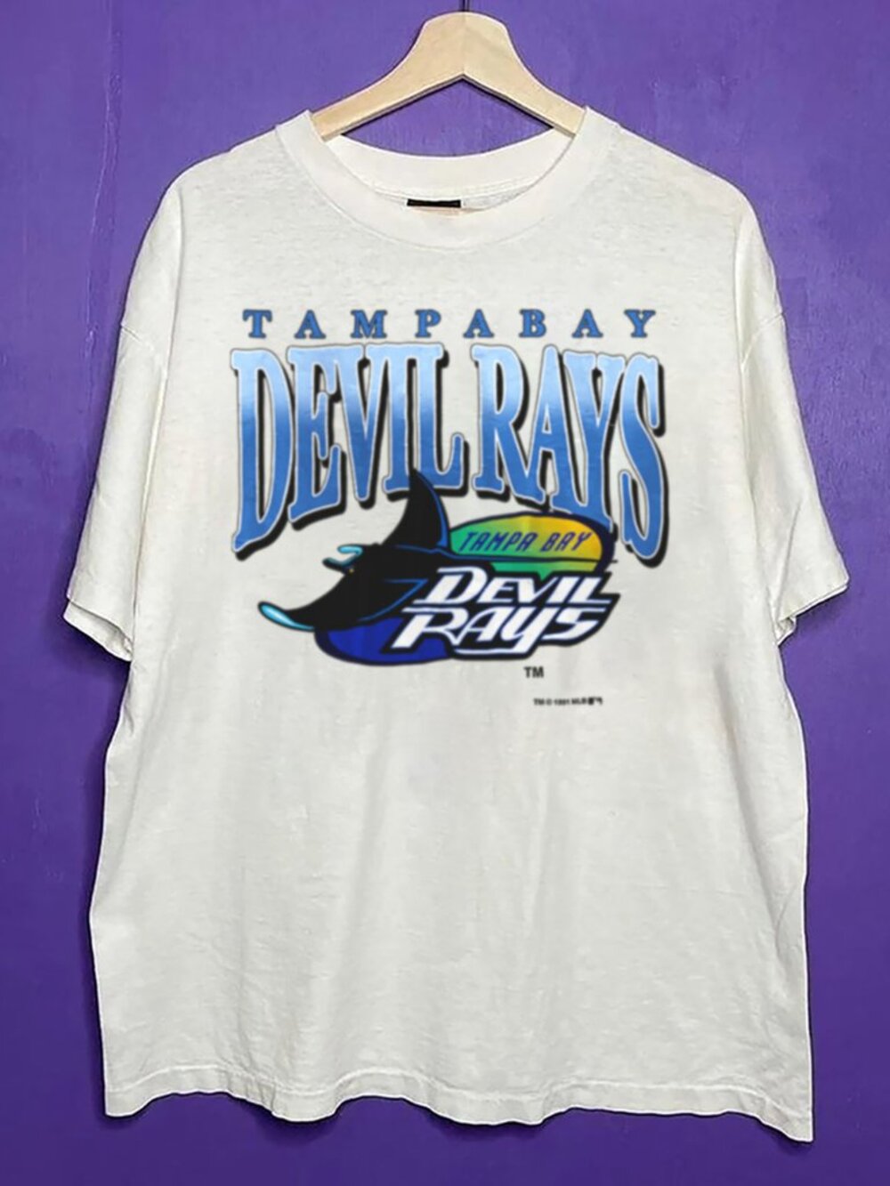 90s Vintage Tampa Bay Rays Baseball Shirt, Retro MLB Tampa Bay Rays Shirt Tee